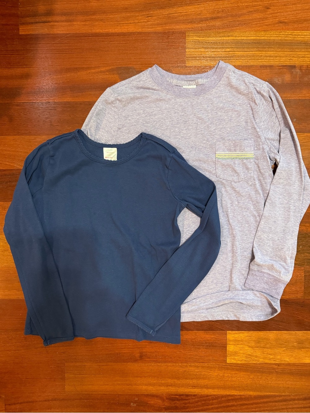 Pair of Hanna Andersson Cotton Long Sleeve Tops